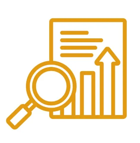 Analyze the Data